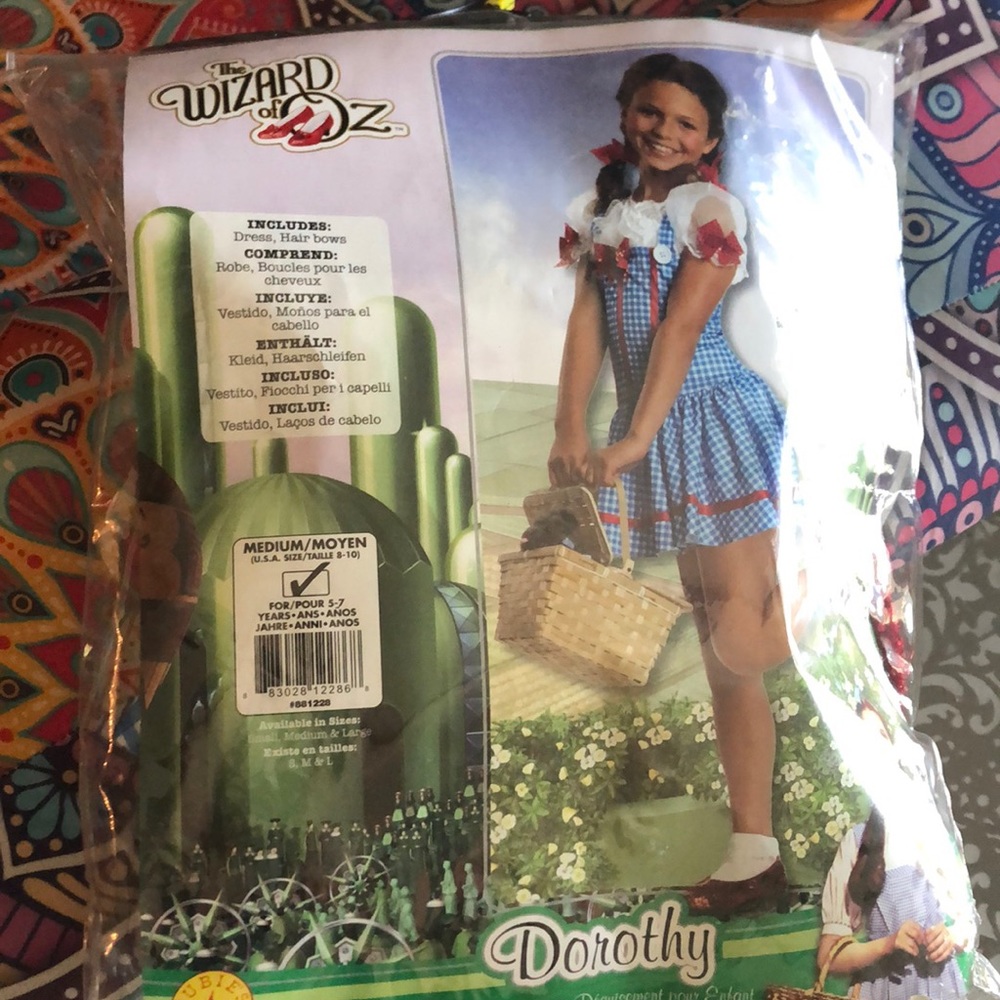 Wizard of Oz Dorothy costume